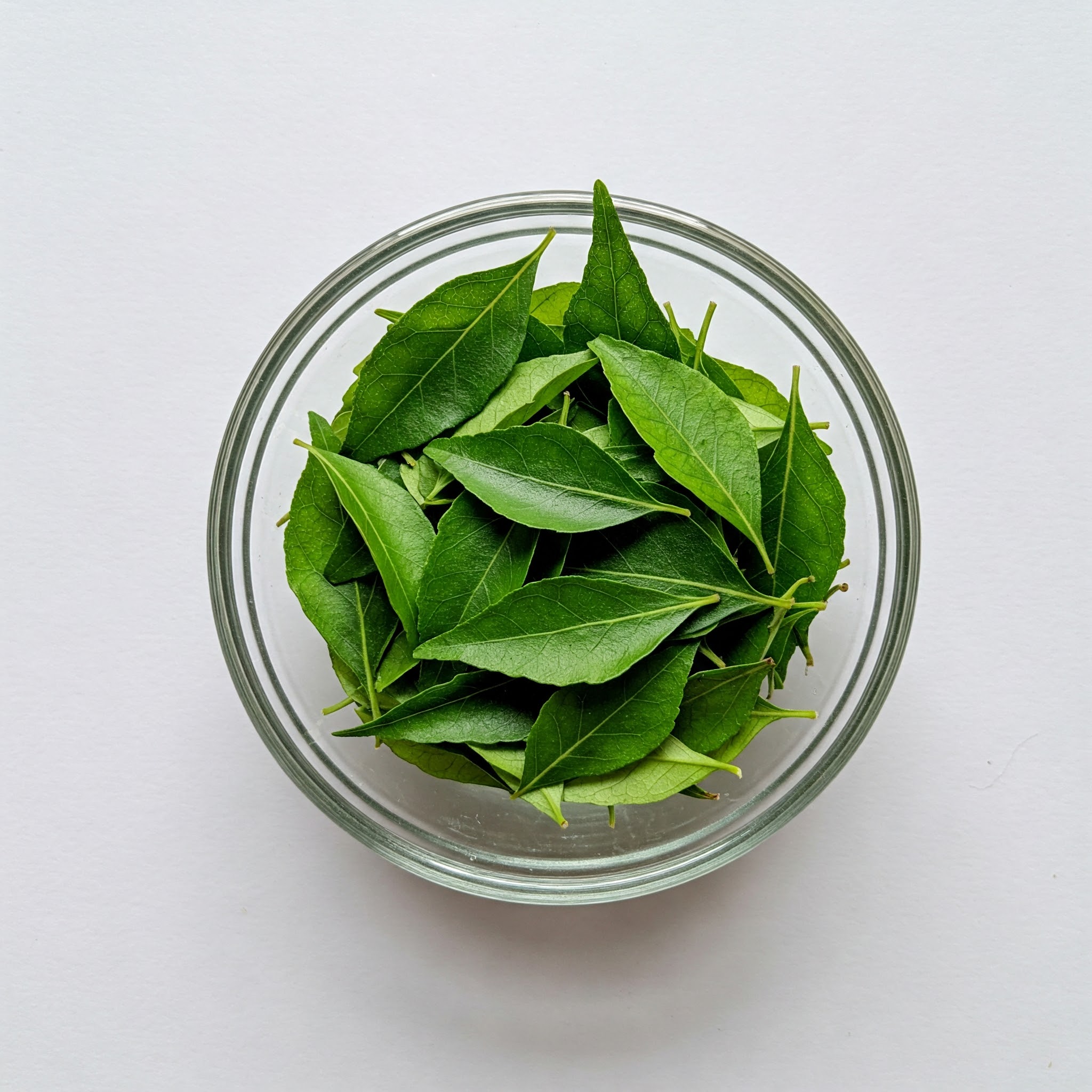 Curry Leaves (Karapincha) thumbnail